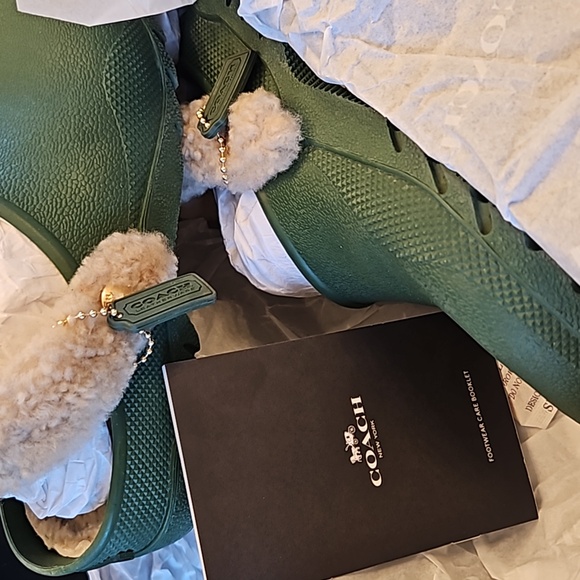 Shoes - Picture 5 of 7